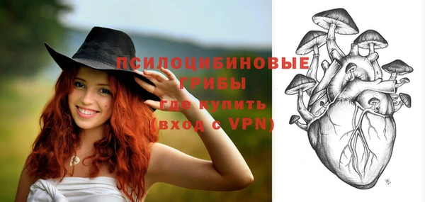 экстази Михайлов