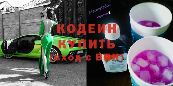 дживик Аша