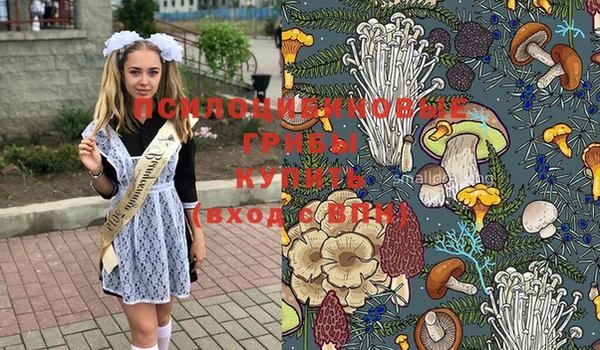 мдпв Михайловка