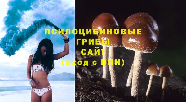 трава Ахтубинск