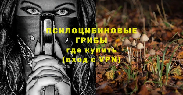 экстази Михайлов