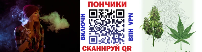 Канабис планчик  хочу наркоту  Данков 